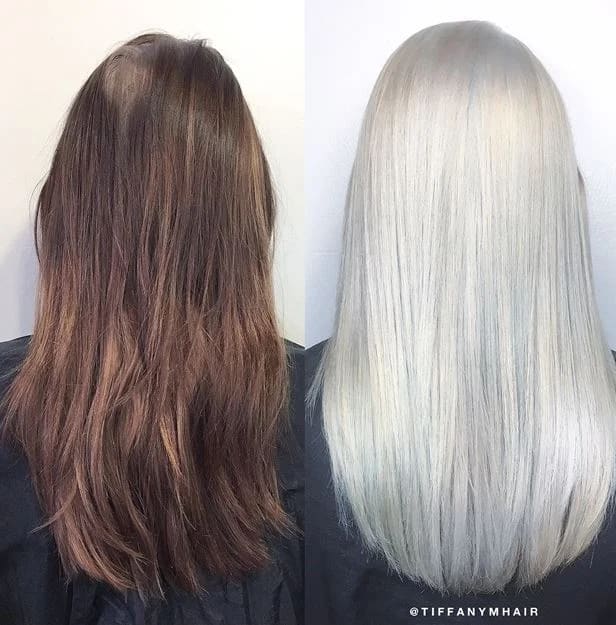 Box Brunette to Solid Platinum in 6 Hours