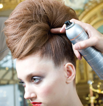 French Twist (Hair Up)