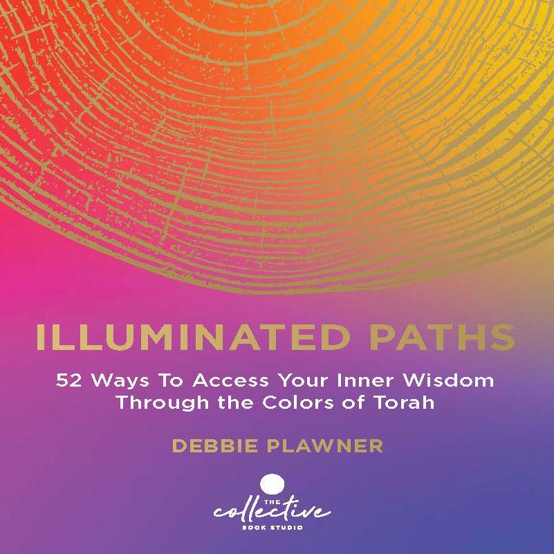 Cover of Illuminated Paths