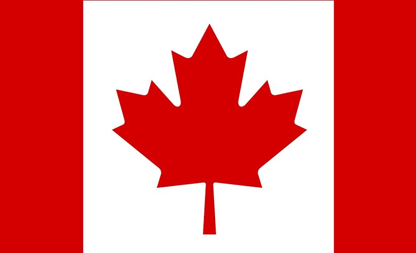 Assessment of the Commercial Fleet Market in Canada for 2019-2020