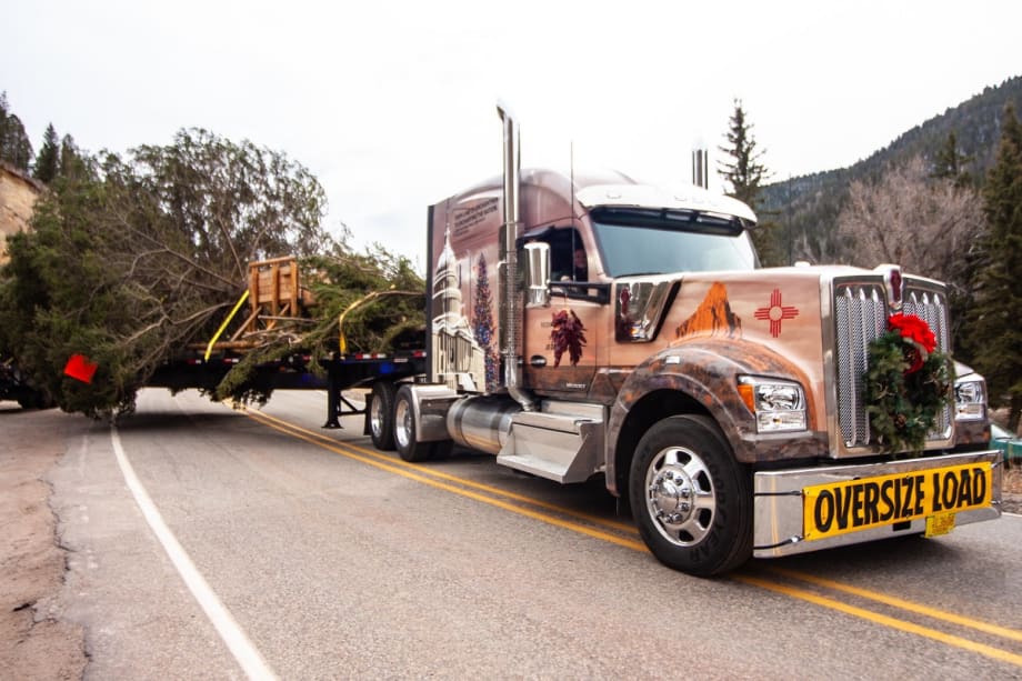 Capitol Christmas Tree Kicks off the Holiday Season for Trucking
