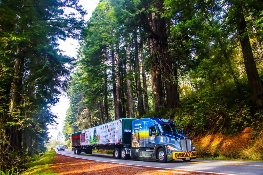 What It Takes to Transport the Capitol Christmas Tree