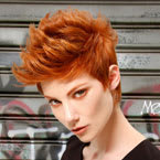 NYC Graffiti Collection by Xena Parsons and Company