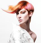 Goldwell Trend Zoom Finalists