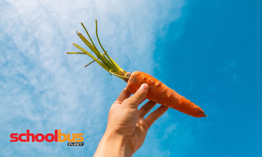 Provide Your Drivers with Carrots