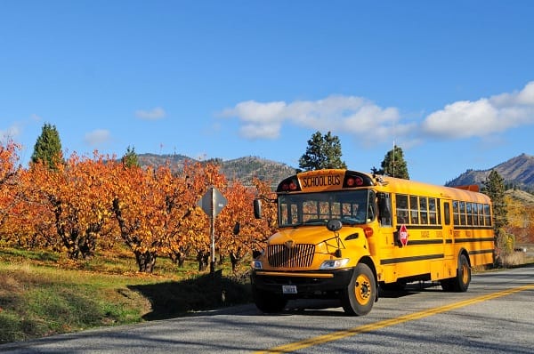 School Reopenings Make Room for New Beginnings