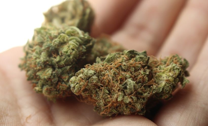 Pot Breathalyzer Device Holds Promise for Detecting Drug Impairment