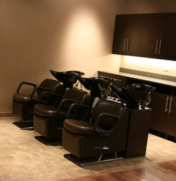 Salon of Distinction: Christopher J. Salon