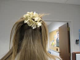 Rapunzel! Let Down Your Hair!