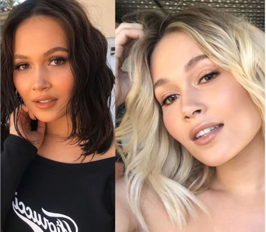 Brunette to Blonde:The Process and Products