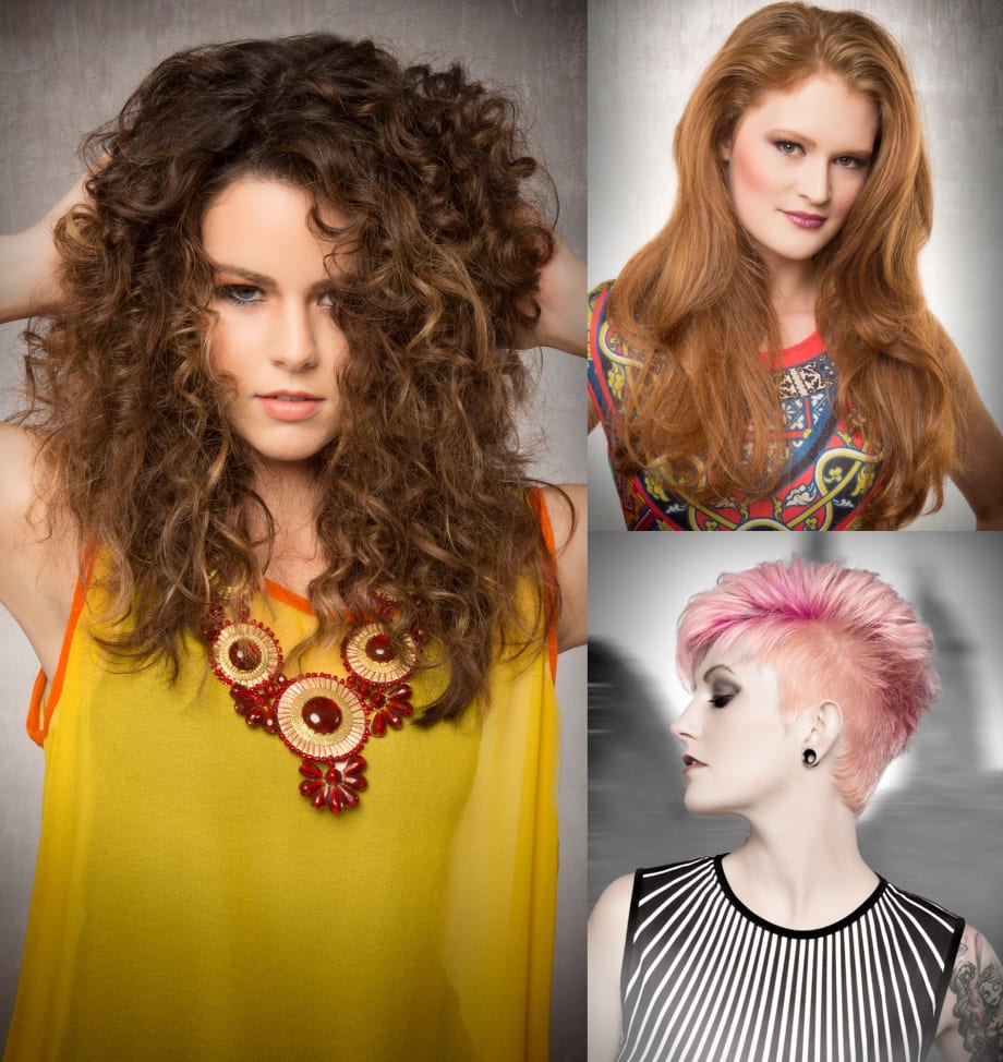 What Color Personality is Your Client: Whisper, Talk or Scream?