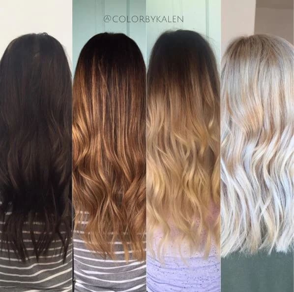 Level 2 Box Dyed Brunette to Beautiful Blonde