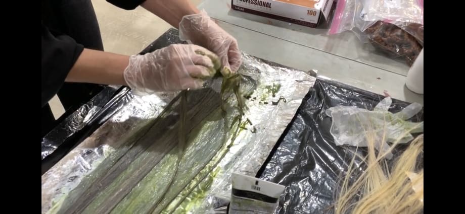 Tip of the Day: Coloring Wefts and Extensions
