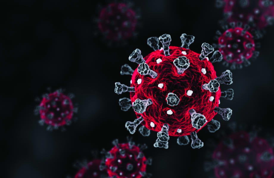 A Fleet Review of COVID-19 Pandemic