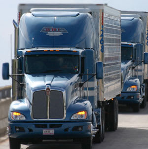 In Search of Cross-Border Safety Data