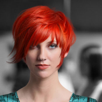 Spring Style from Visible Changes