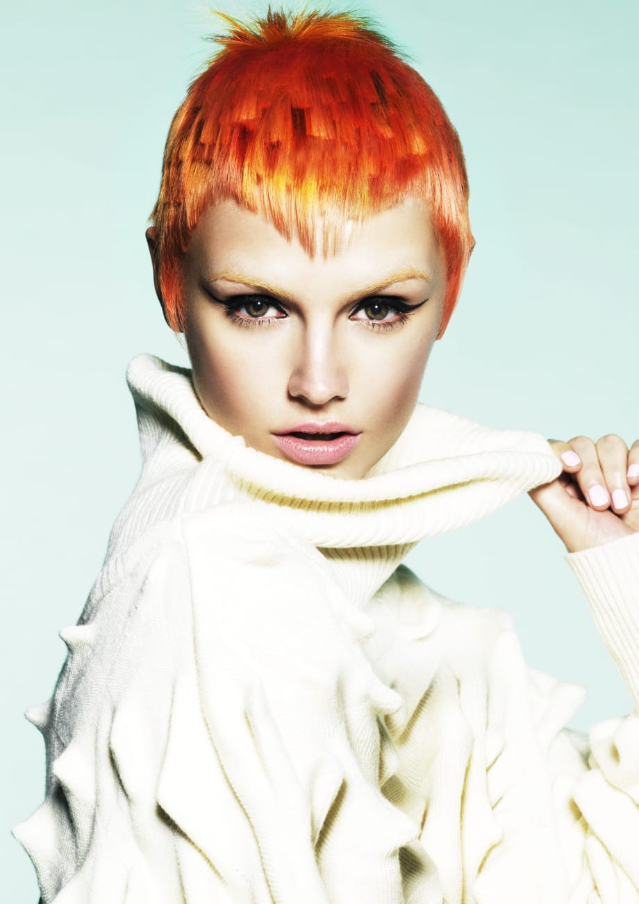 2019 NAHA Finalists: Haircutting