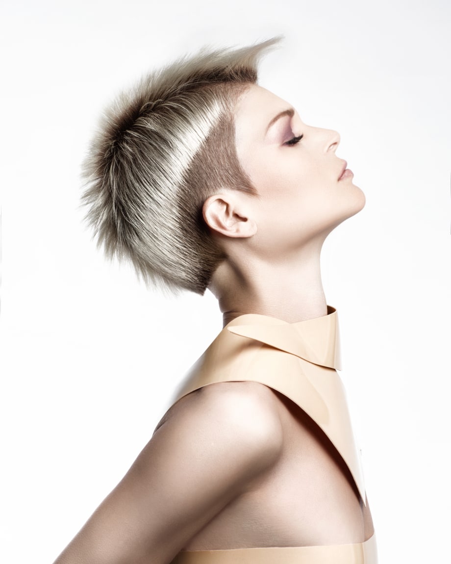 2019 NAHA Finalists: Haircutting