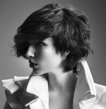 Dangereuse by Francois Mazeau