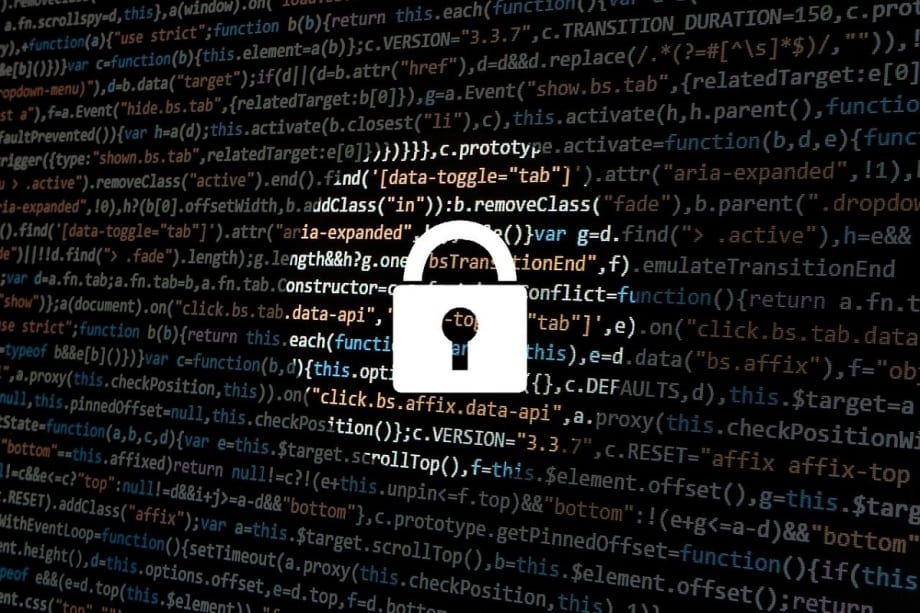 Emerging Legal and Privacy Issues for Fleets