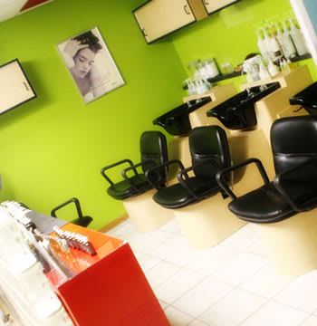 Salon of Distinction: A David Anthony Salon & Spa