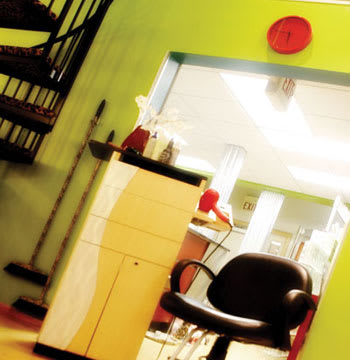 Salon of Distinction: A David Anthony Salon & Spa