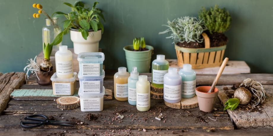 New Partnership Promotes Regenerative Organic Farming