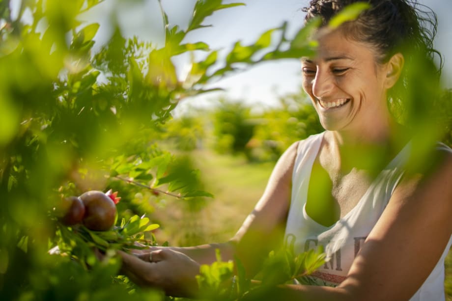 New Partnership Promotes Regenerative Organic Farming