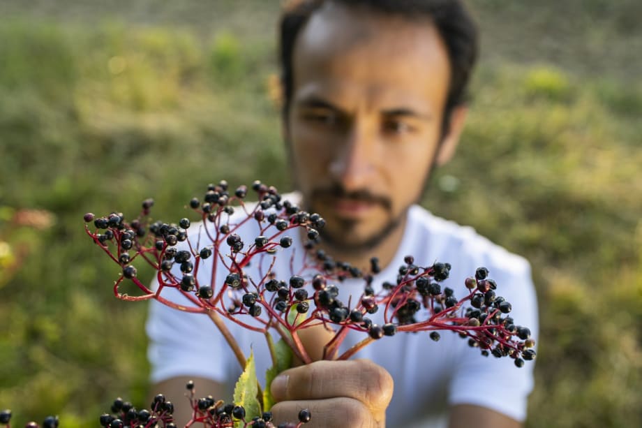 New Partnership Promotes Regenerative Organic Farming