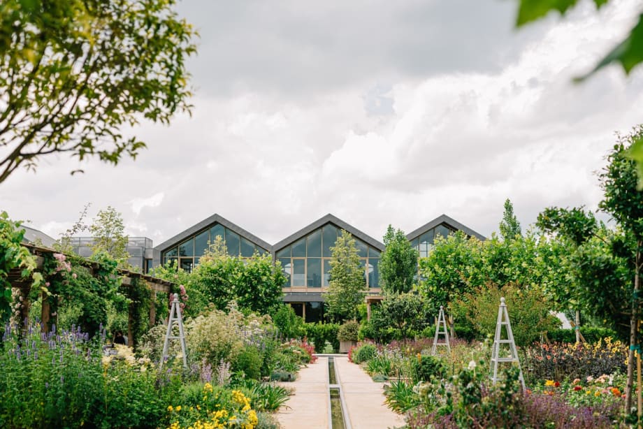 New Partnership Promotes Regenerative Organic Farming