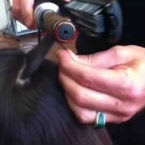 Dean Banowetz shows HOW TO Get a Perfect Vintage Wave