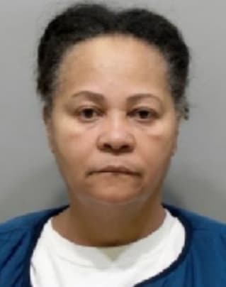 Michigan School Bus Driver Charged In Death of Student Hit by Car