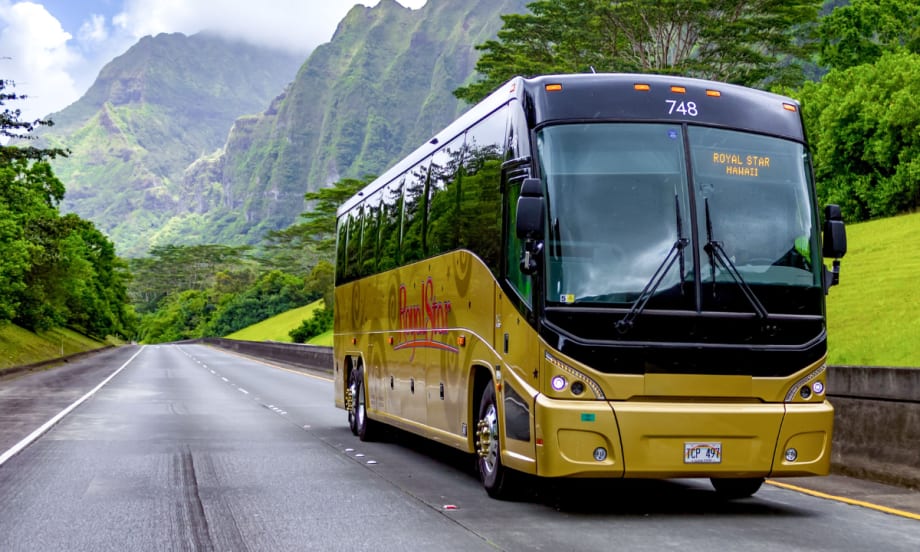 A gold and black Royal Star Hawaii MCI motorcoach on the road.