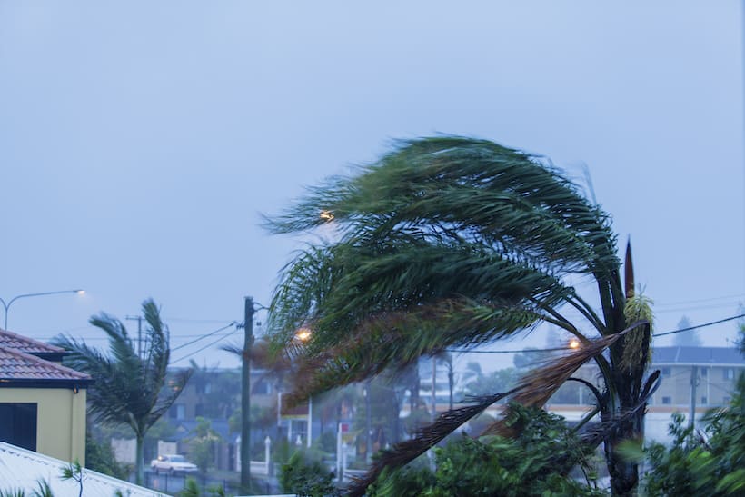 Japan Car Sharing Association Needs Vehicles to Help Typhoon Victims