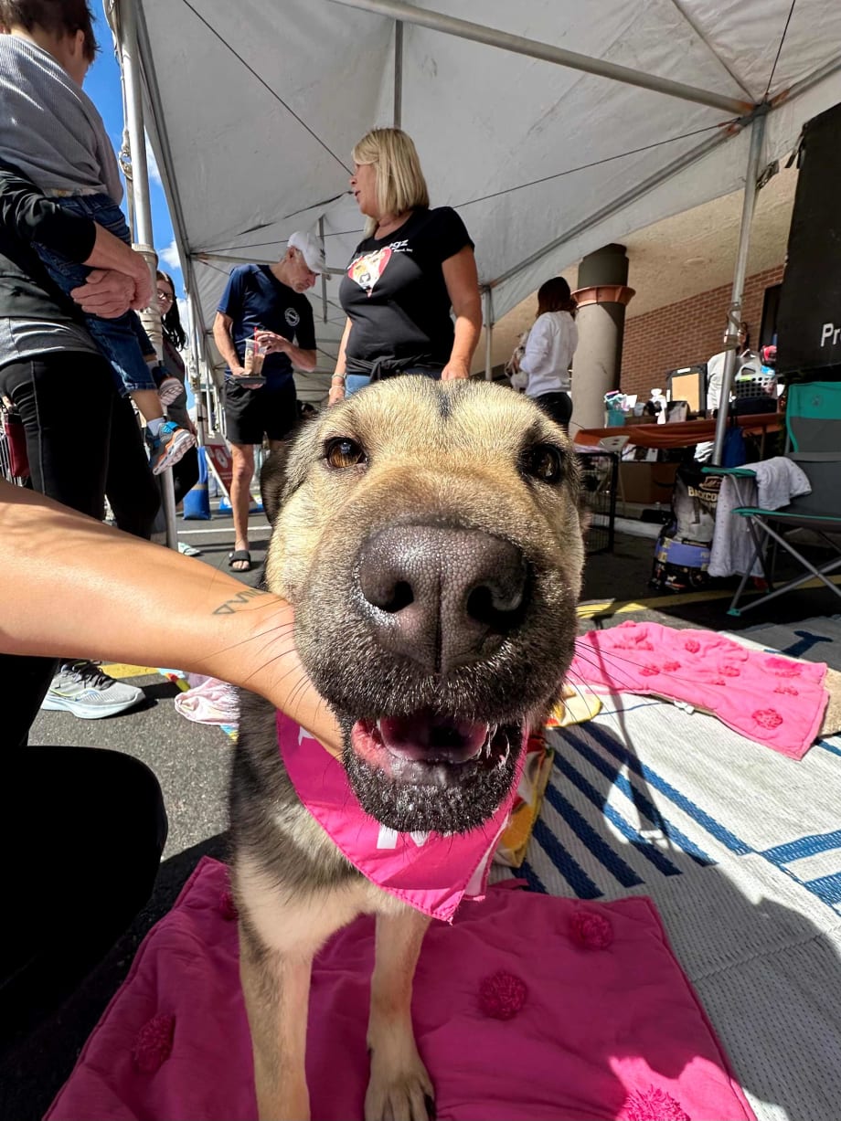 A Tail-Wagging Salon Philanthropy 24 Years in the Making