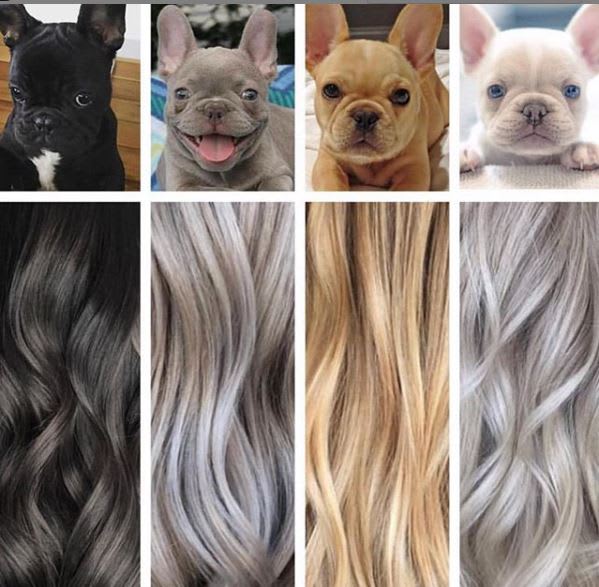 Check Out this Week's Most-Liked Posts on @ModernSalon