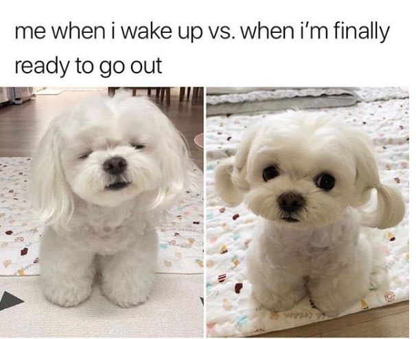 30 Beauty-Related Memes to Get You Through the Week