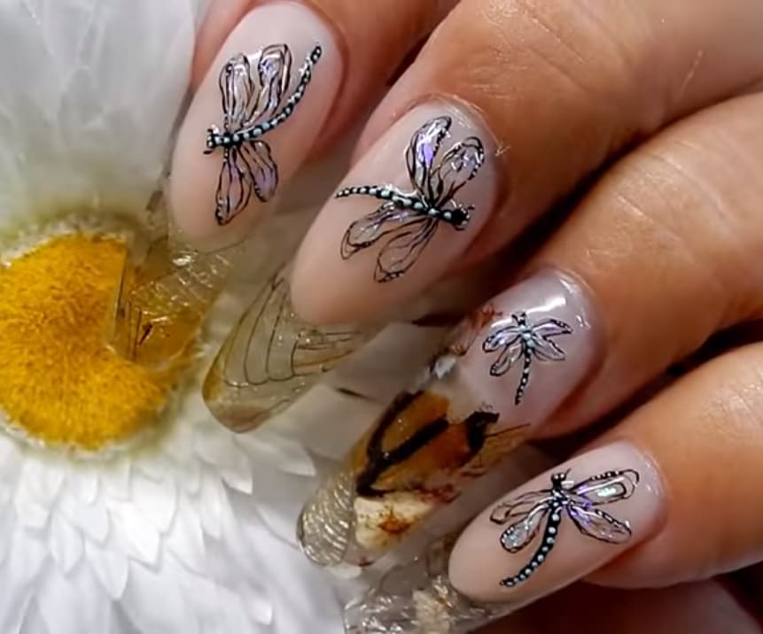 Sparkly Dragonfly and Insect Wing Nails