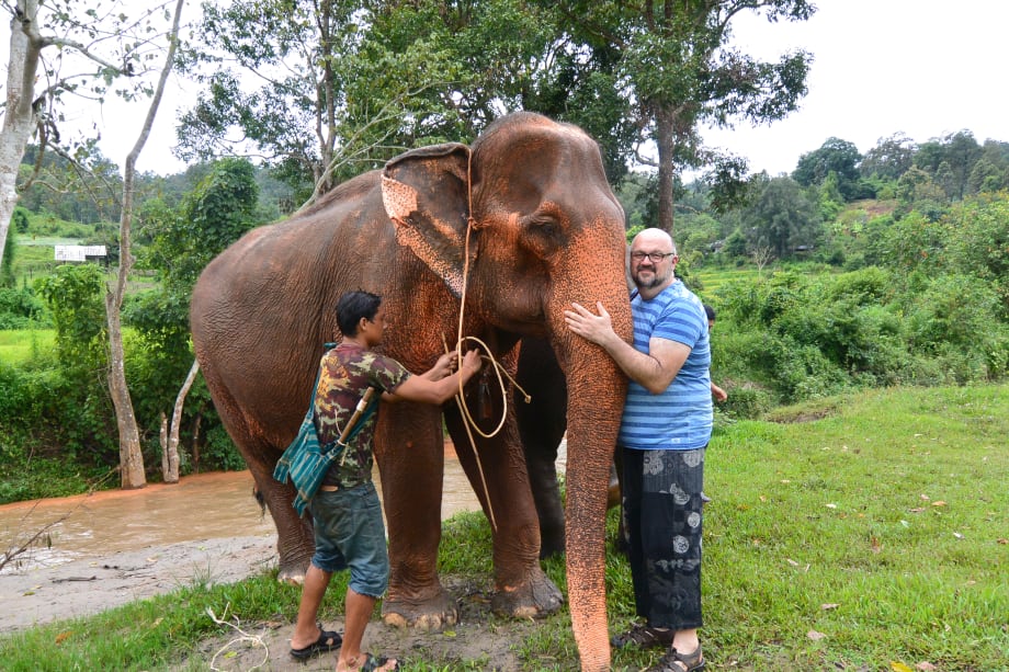 What Fleet Managers Can Learn from Elephants
