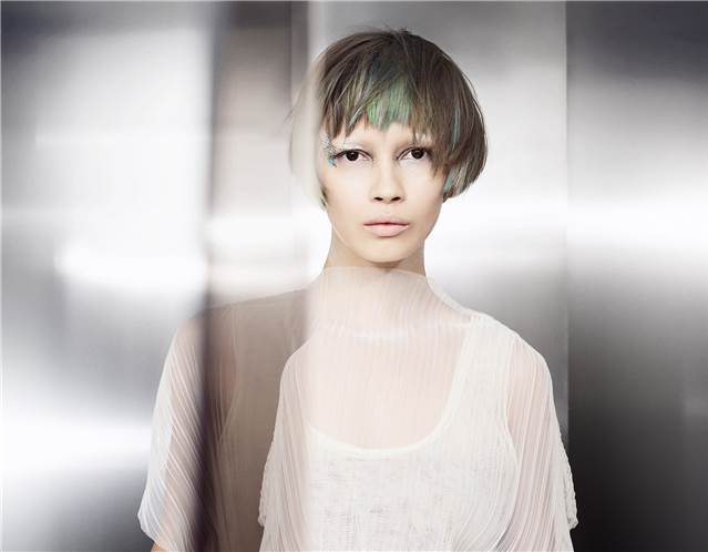 Introducing the Elemental Trend Debuted at Goldwell Color Zoom 2017