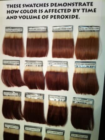 2013 Energizing Summit: Hundreds Attend LA Haircolor Conference