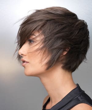 Alterna's Equilibrium: Tokyo