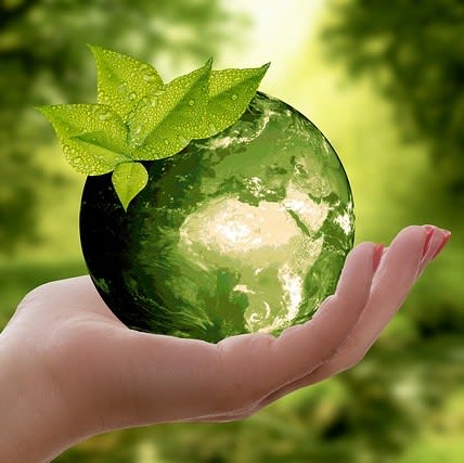 Directory Showcases Brands Working Toward Sustainability
