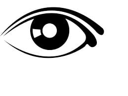 The Eyes Have it