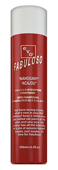 Evo launches Fabuloso