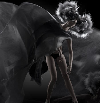 2011 NAHA Finalists - Fashion Forward