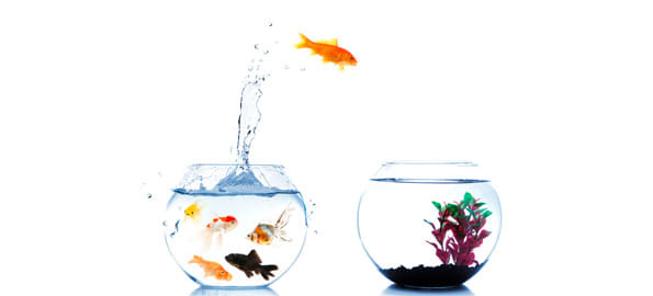 Training, Monitoring  and Motivating F&I Managers