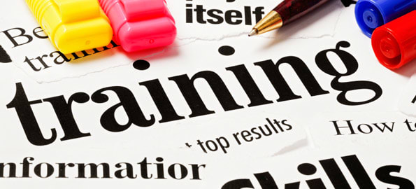 Tips For 2013 From Top Industry Trainers