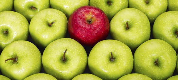 Taking on the Big Boys – Differentiation Part 1