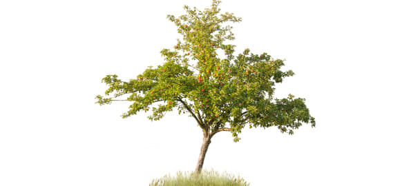 Growing From The Inside Out!